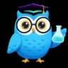 Socratic Solver logo